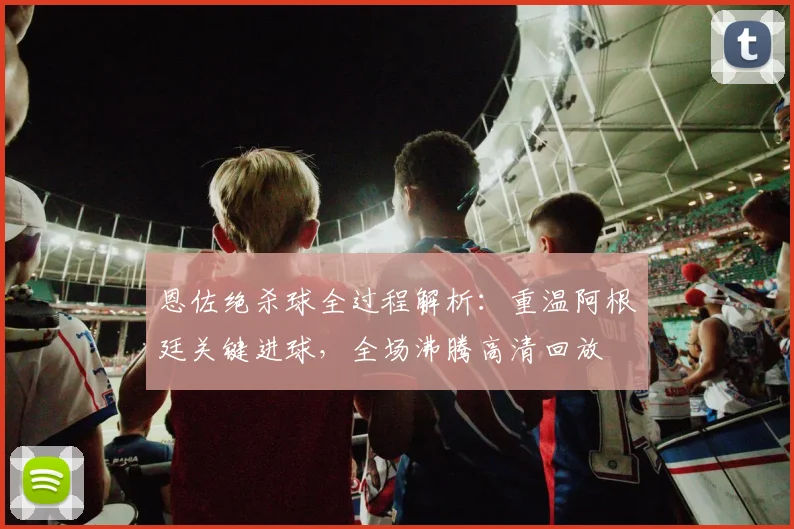 恩佐绝杀球全过程解析：重温阿根廷关键进球，全场沸腾高清回放